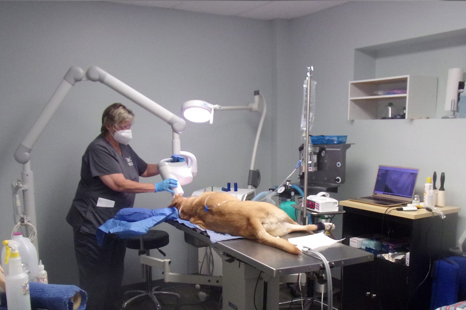 Dental Surgery